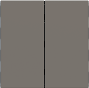EKINEX EK-TRV-FGL Kit of 1 vertical rectangular FF (Form/Flank/NF) button