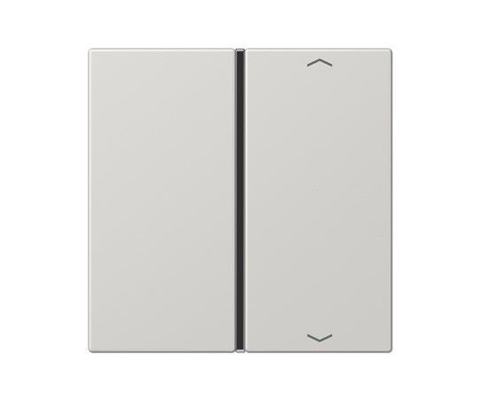 JUNG LS401TSAPLG Copritasto per modulo sensore 1 canale-c. simb. mod. LS990- grigio chiaro