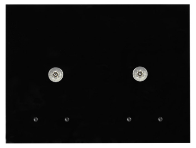 EELECTRON PX15A14ACC BLACK PLEXI PLATE FOR OUTDOOR READER