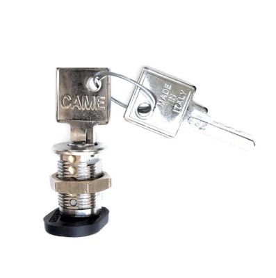 CAME-RICAMBI 119RIBX042 LOCK CYLINDER - BX-243