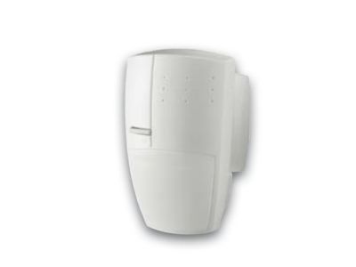 DAITEM 173-21X Passive infrared curtain detector 12 m - 8 degrees