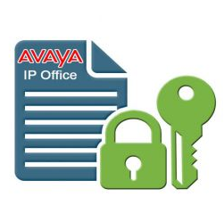 AVAYA 307340 IPPO-SELECT R10+ IP500 E1R2 ADDITIONAL 2CHANNELS CLICK