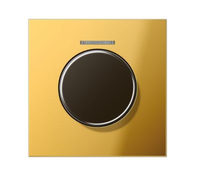 JUNG GO1940KO5 Cover with light outlet for KNX rotary button - golden