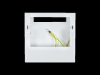 ELSNER 60155 Custodia per montaggio superficiale per WS1 Colore: bianco